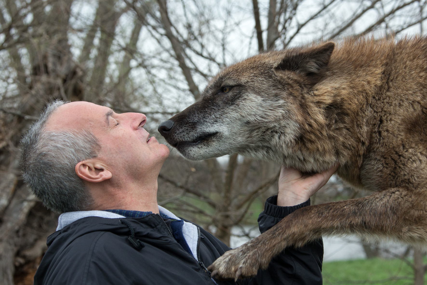 Why Do Dogs Like to Lick Our Faces? – Ethology Institute Cambridge