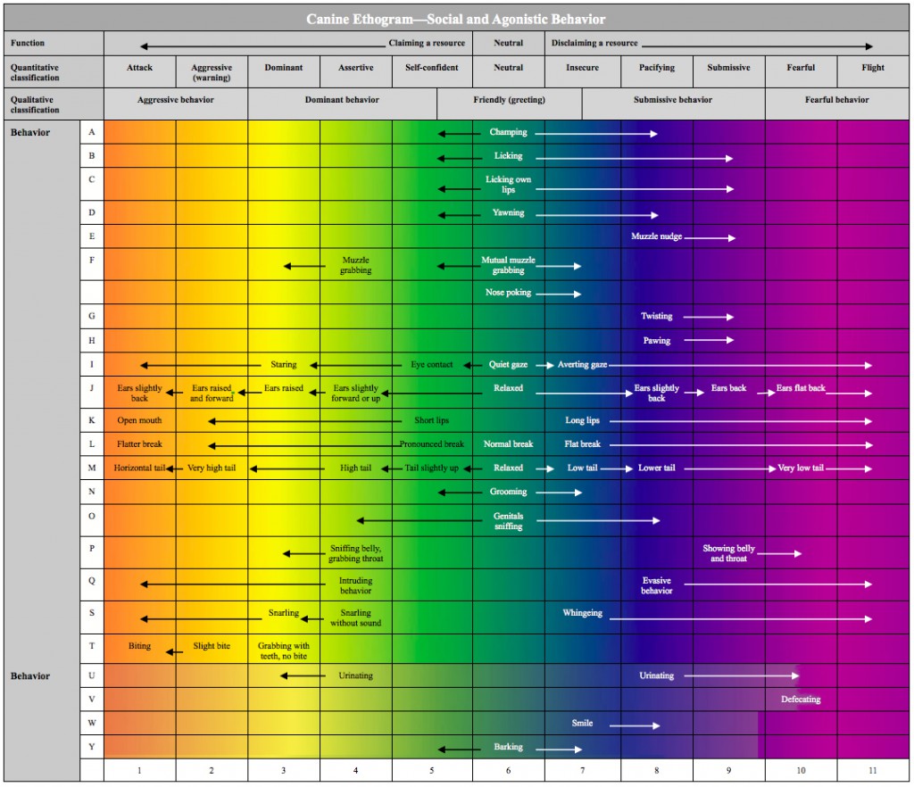 Canine ethogram for social and agonistic behavior.
