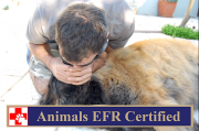 Animals EFR Certified