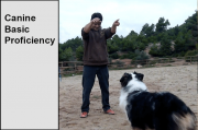 Canine Basic PV