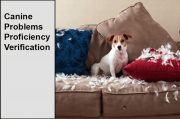 Canine Problems PV