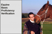 Equine Basic PV