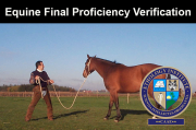 Equine Final PV