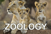 Zoology