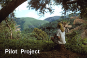 Pilot Project