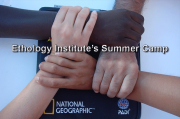 Summer Camp Course
