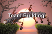 Team Building Course