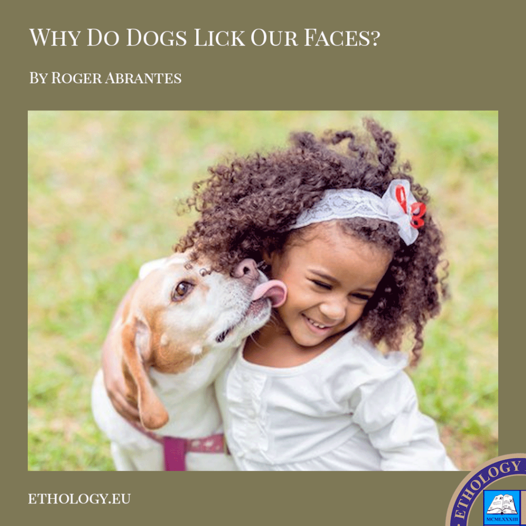 why-do-dogs-lick-your-face-submission-affection-prevention-faqs