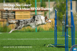 Do Dogs See Colors?