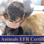 Animals EFR Certified