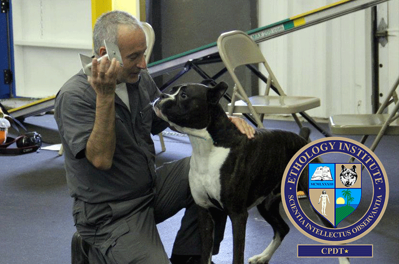 CPDT in installments 14 months – Ethology Institute