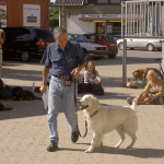 Canine Advanced PV