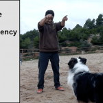 Canine Basic PV