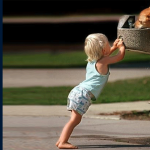 Dogs And Children Course