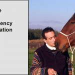 Equine Basic PV