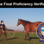 Equine Final PV