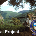 Final Project