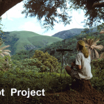 Pilot Project