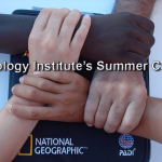 Summer Camp Course