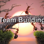Team Building Course
