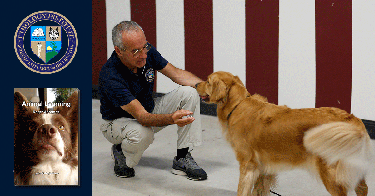 Animal Learning