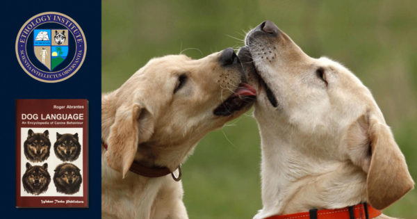 Canine Behavior - Ethology Institute - Online Course - By Roger Abrantes