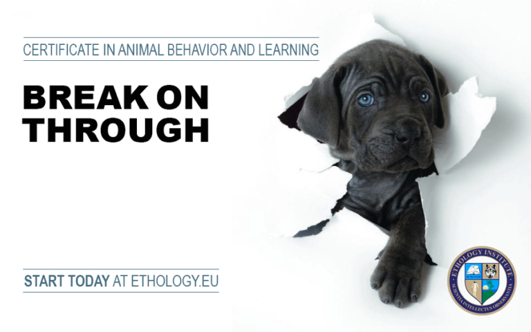 Certification Programs (Break on Through)