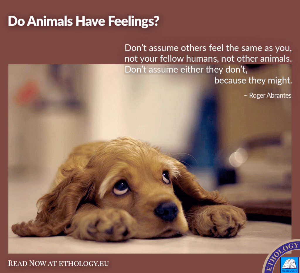 Do All Animals Have Feelings