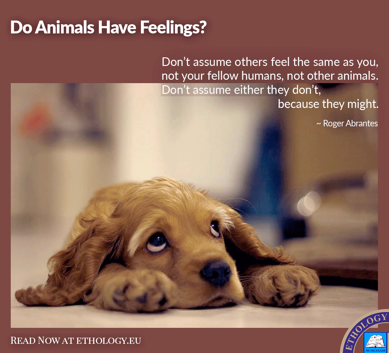 essay on animals also have feelings