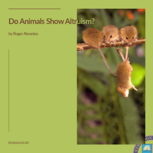 Do Animals Show Altruism?