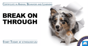 Certificate in Animal Behavior and Learning