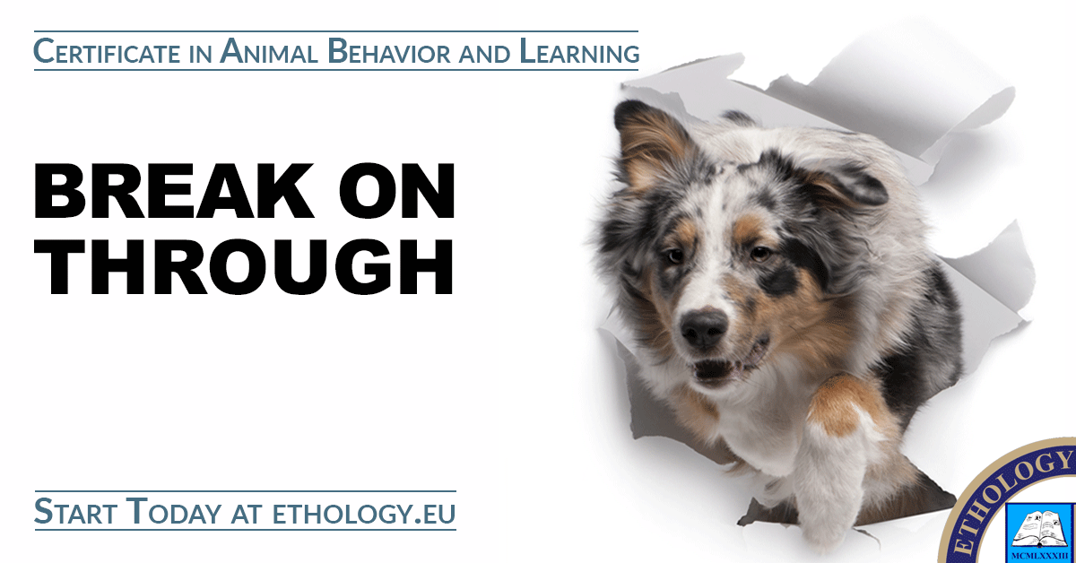 Certification Programs - Ethology Institute - Animal Behavior and Training