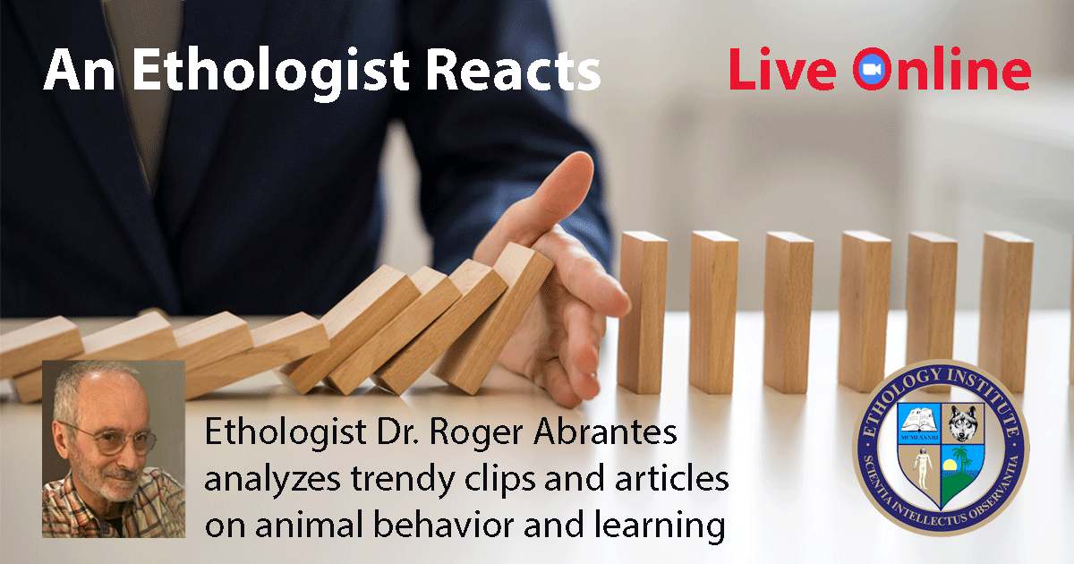 An Ethologist Reacts An Ethologist Reacts