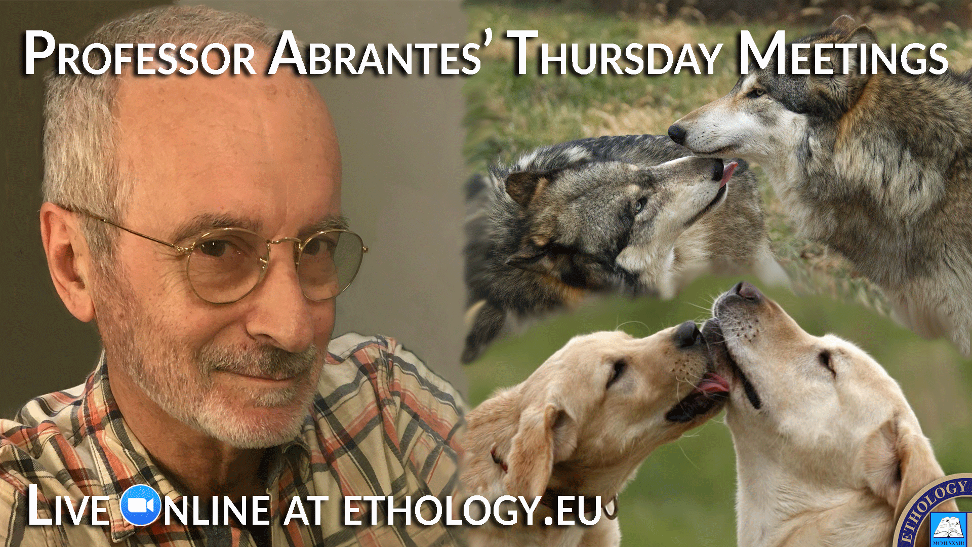 Prof Abrantes Thu Meetings 3 Prof Abrantes Thu Meetings 3