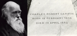 Charles Darwin Tombstone