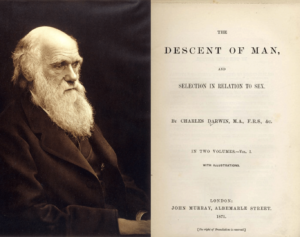 Darwin Descent Of Man