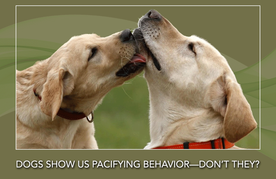 Pacifying-Behavior