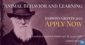 Darwin-Grants-Apply-Now-Long