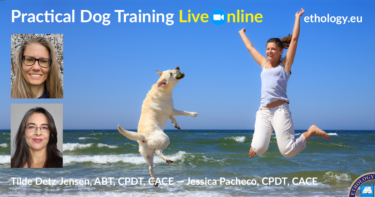 PracticalDogTrainingLiveOnline