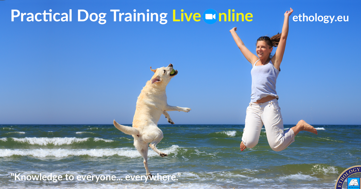 PracticalDogTrainingLiveOnline